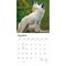 BrownTrout; Wolves | 2027 12 x 24 Inch (Hanging) Monthly Square Wall Calendar | Plastic-Free; Category:Wall Calendars; Image:4
